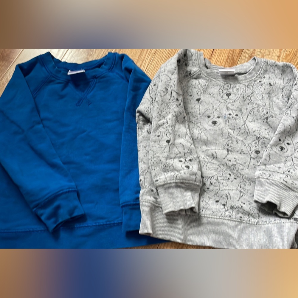 Hanna andersson sweatshirt bundle